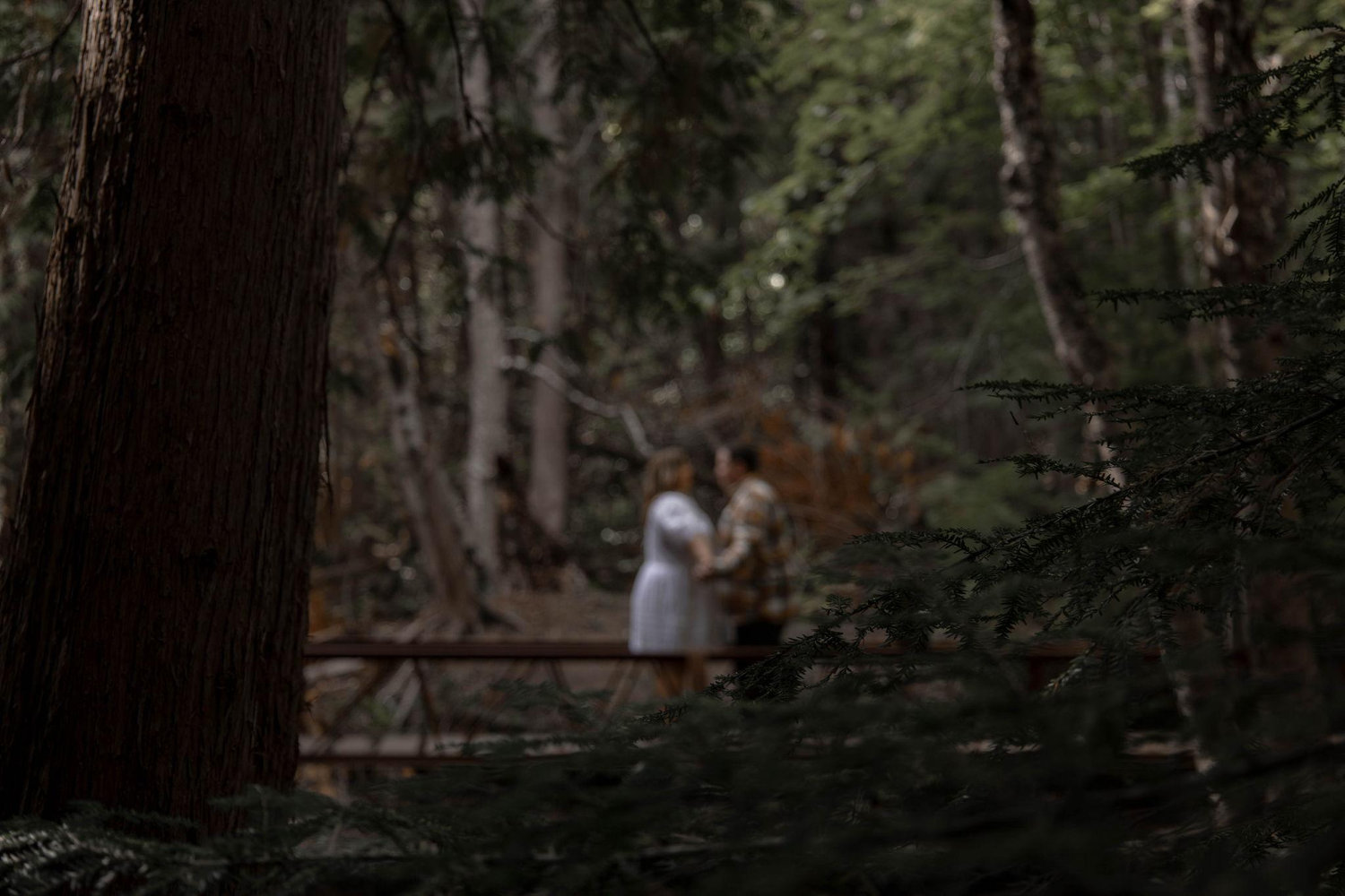 The Wedding Website of Tiffany Johnson and Derek Crawford