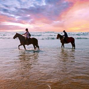 Horseback Riding