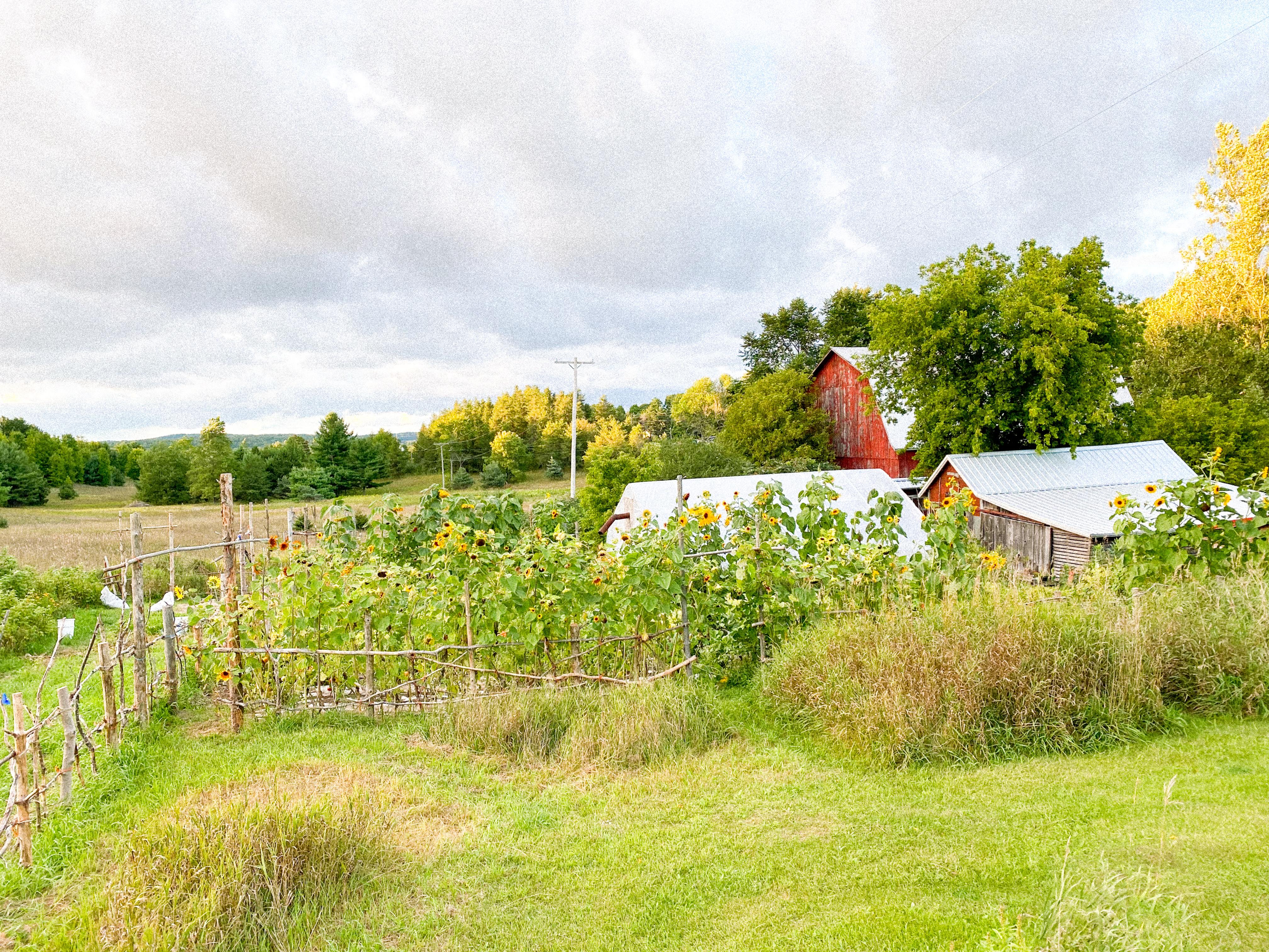 The Wedding Website of Lucky Gretzinger and Katie Kleiger