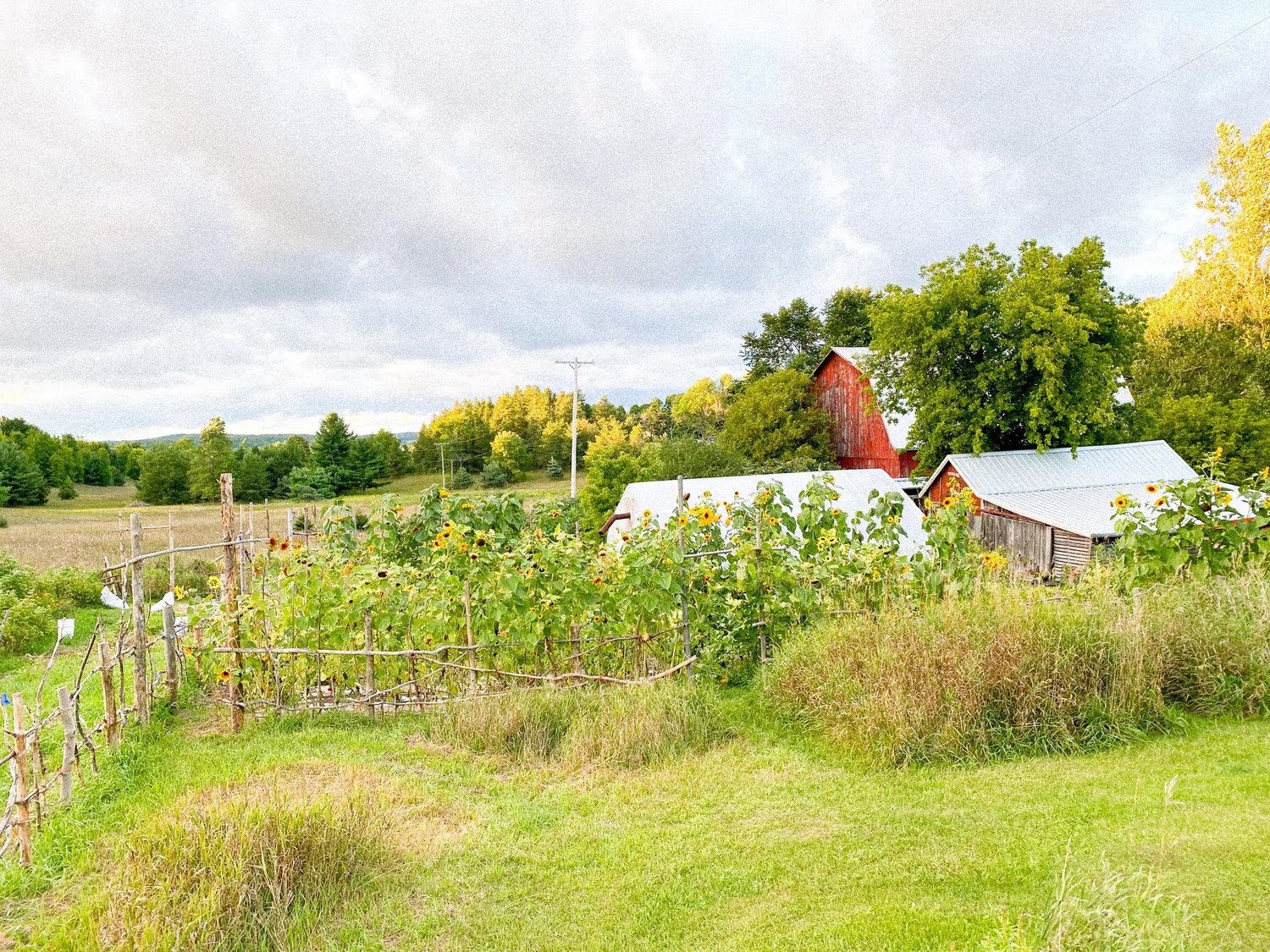 The Wedding Website of Lucky Gretzinger and Katie Kleiger