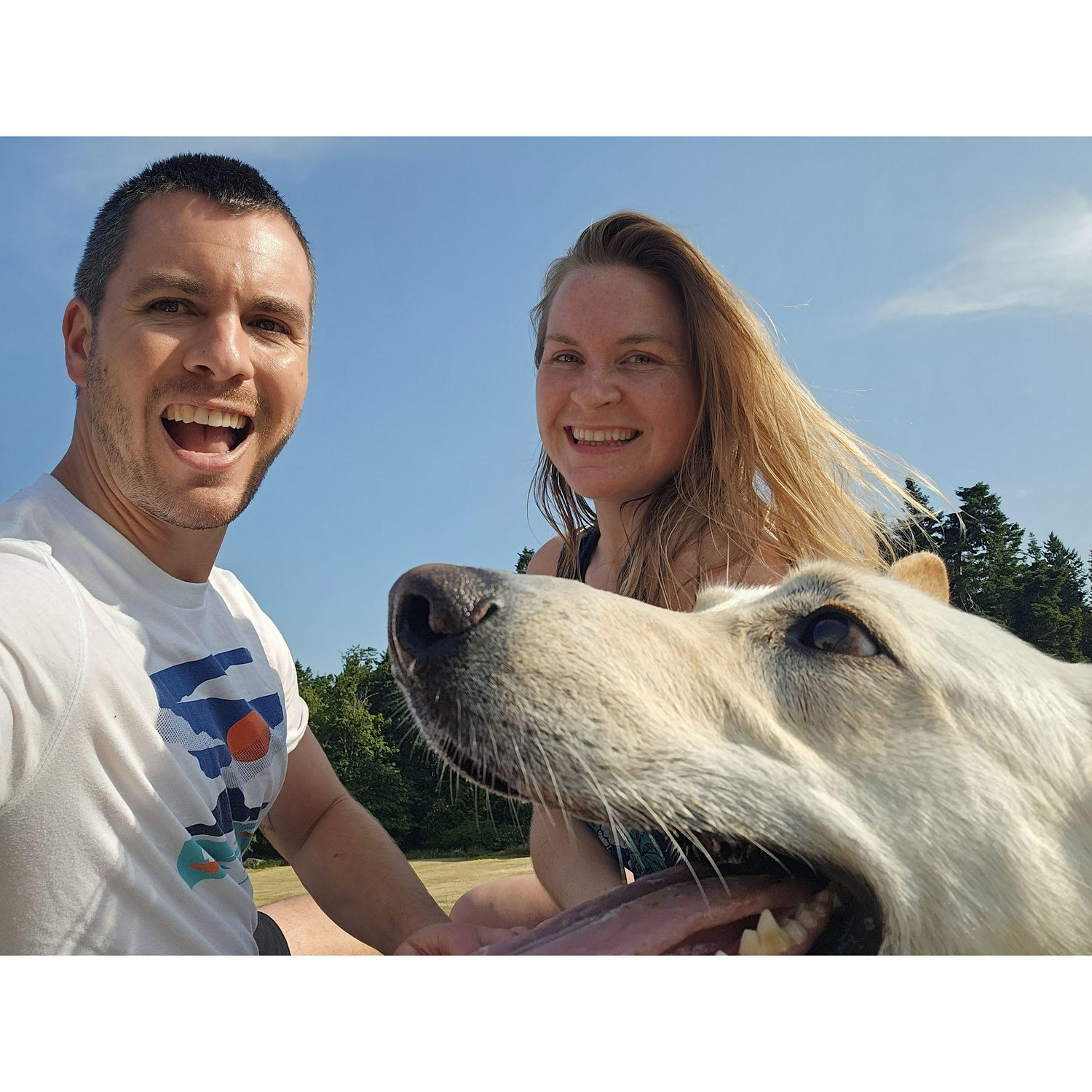 Dog park!