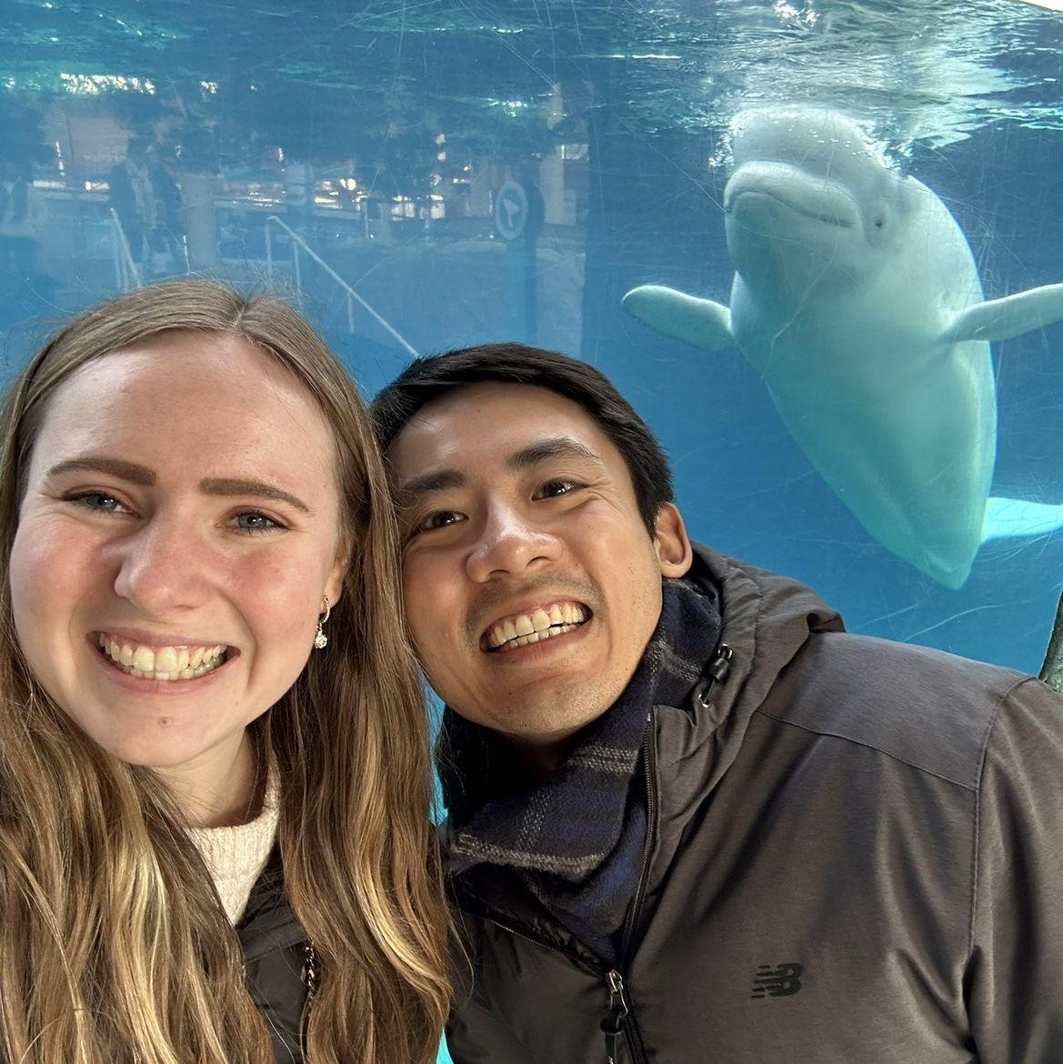 Hanging out with the beluga whales at Mystic Aquarium, CT - December 2025