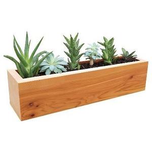 Succulent Planter Rectangular Western Clear Oil Finish - Red Cedar - Gronomics