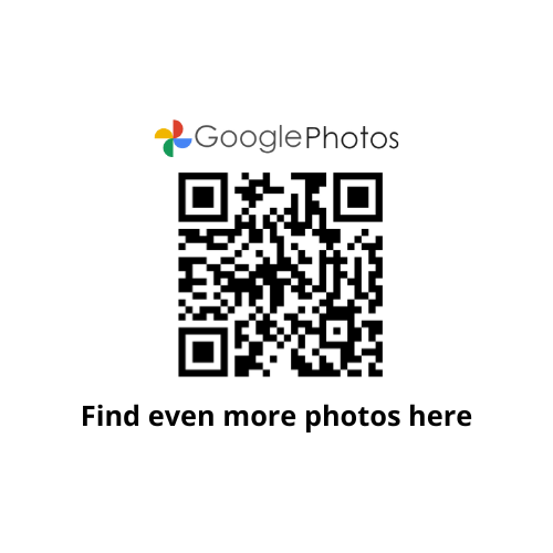 Link: https://photos.app.goo.gl/tPo6pkC953QQ528B9