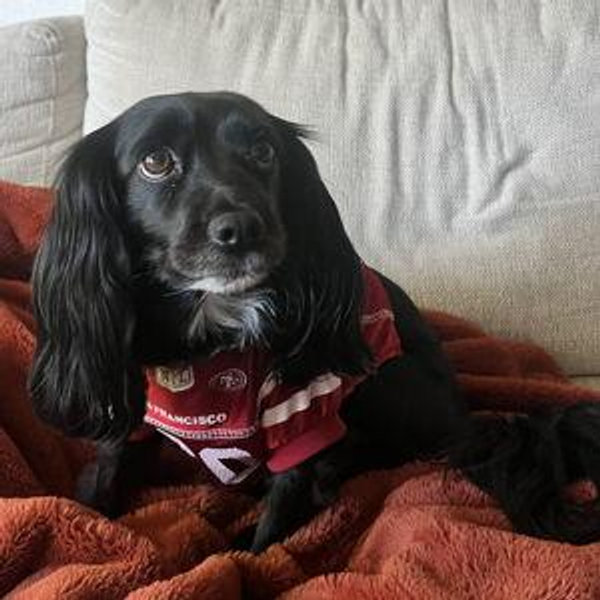 Celine's fund