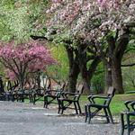 Washington Park