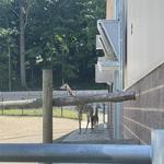 Seneca Park Zoo