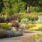 Cheekwood Estate and Gardens