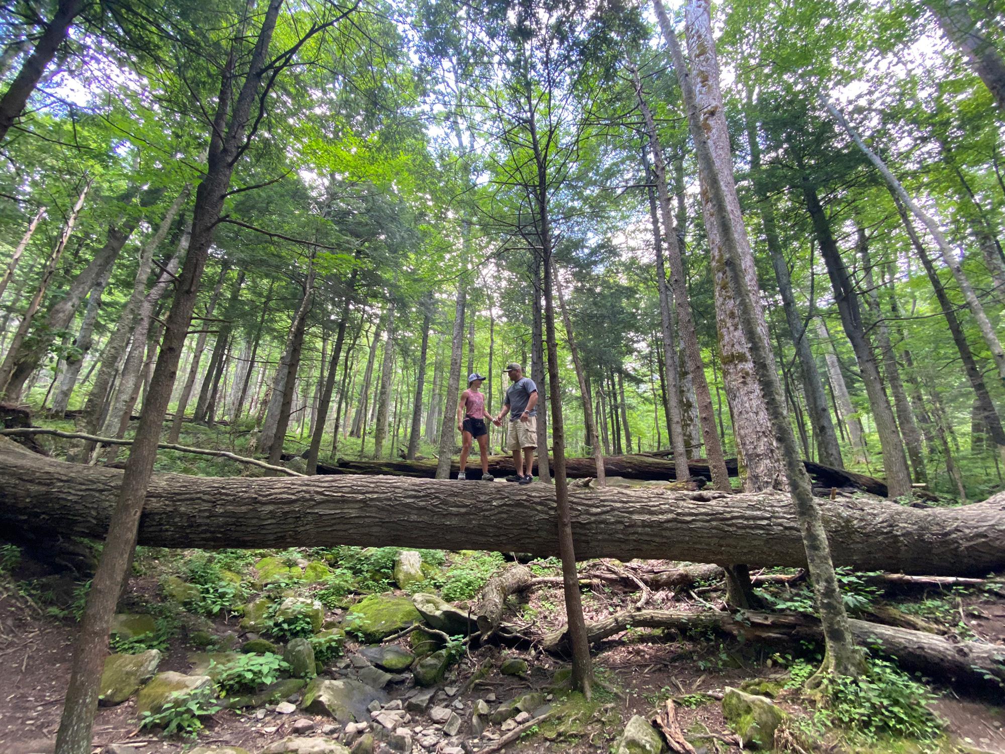 Smokey Mountain National Park