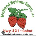 Holland Bottom Strawberry Farm, LLC