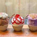 Wailua Shave Ice Portland