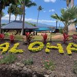 Maui Ocean Center, The Aquarium of Hawaii