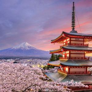 Honeymoon to Japan!