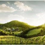 Repris Wines