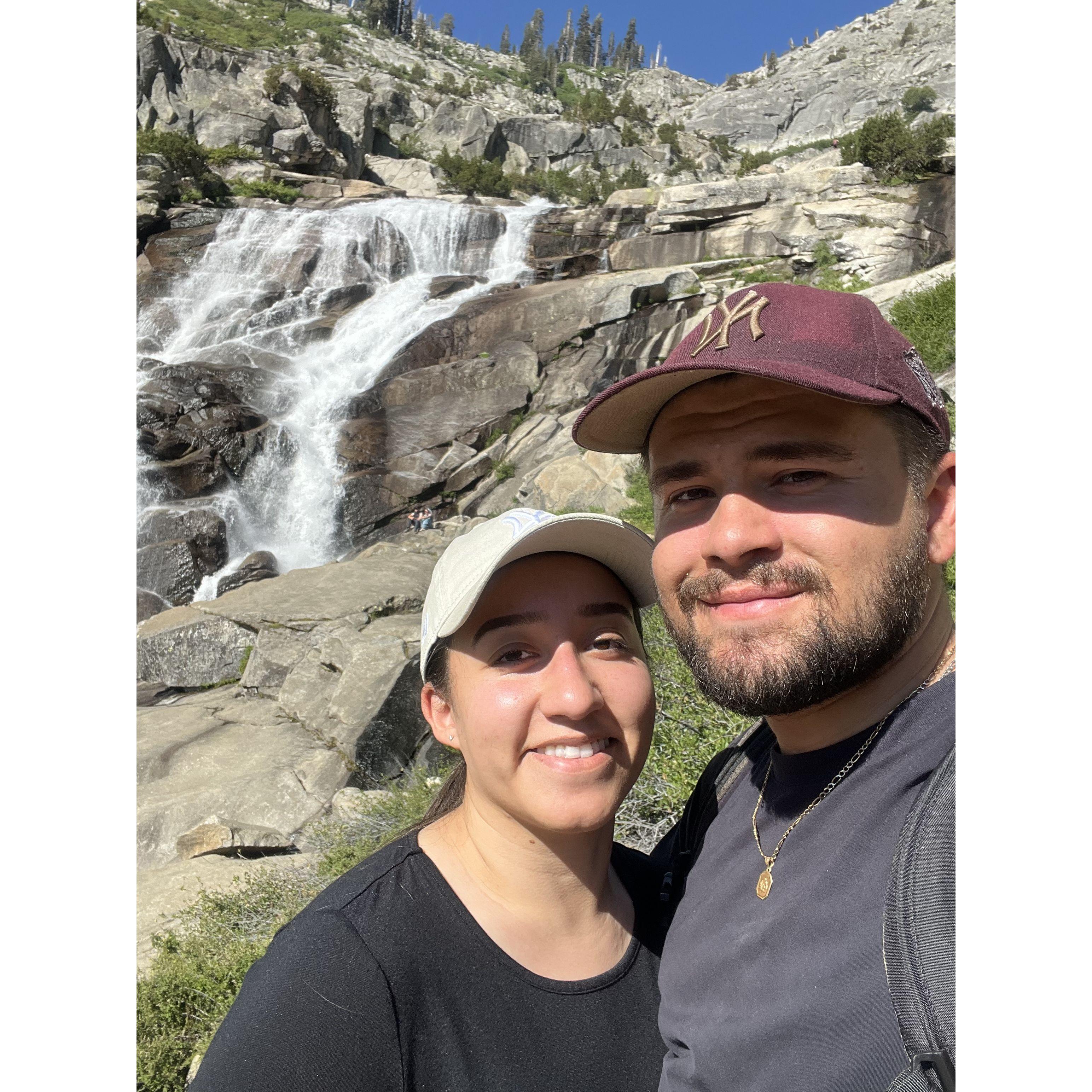 Sequoia