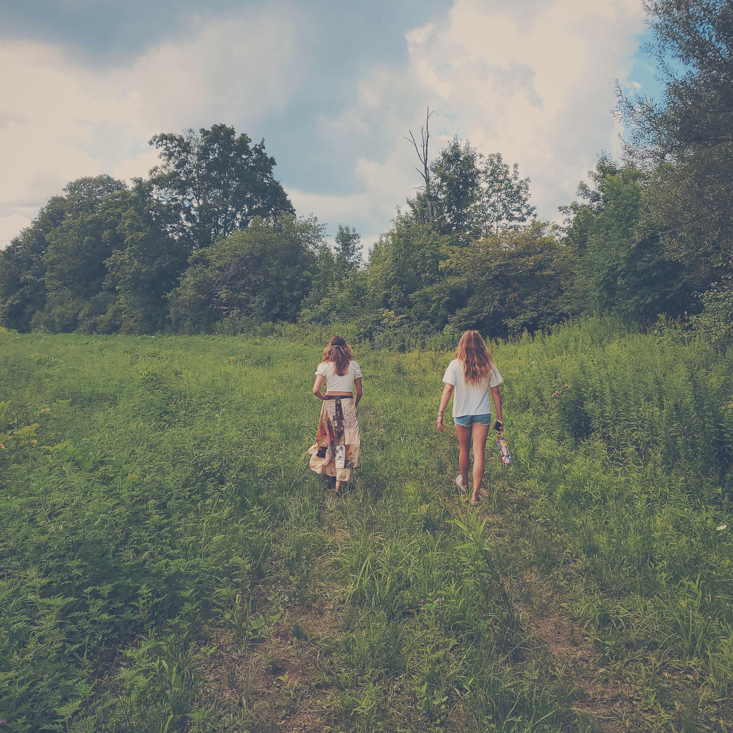 The back fields of Crazy Daisies with Maggie in Syracuse, NY 2021