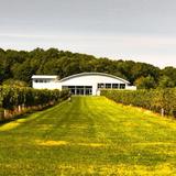 Saltwater Farm Vineyard