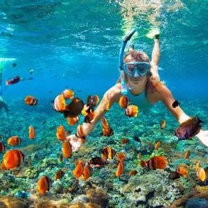 Guided Shore Snorkel Tour