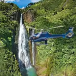 Go Fly Maui