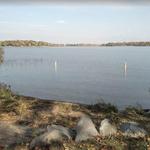 Birch Lakes State Forest
