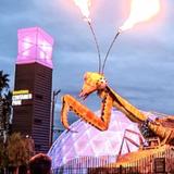 Downtown Container Park