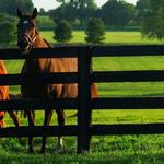 Gainesway Farm