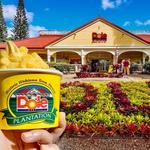Dole Plantation