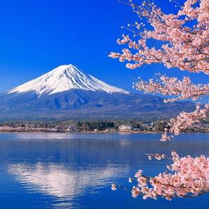 Our mini trip to Japan next year!