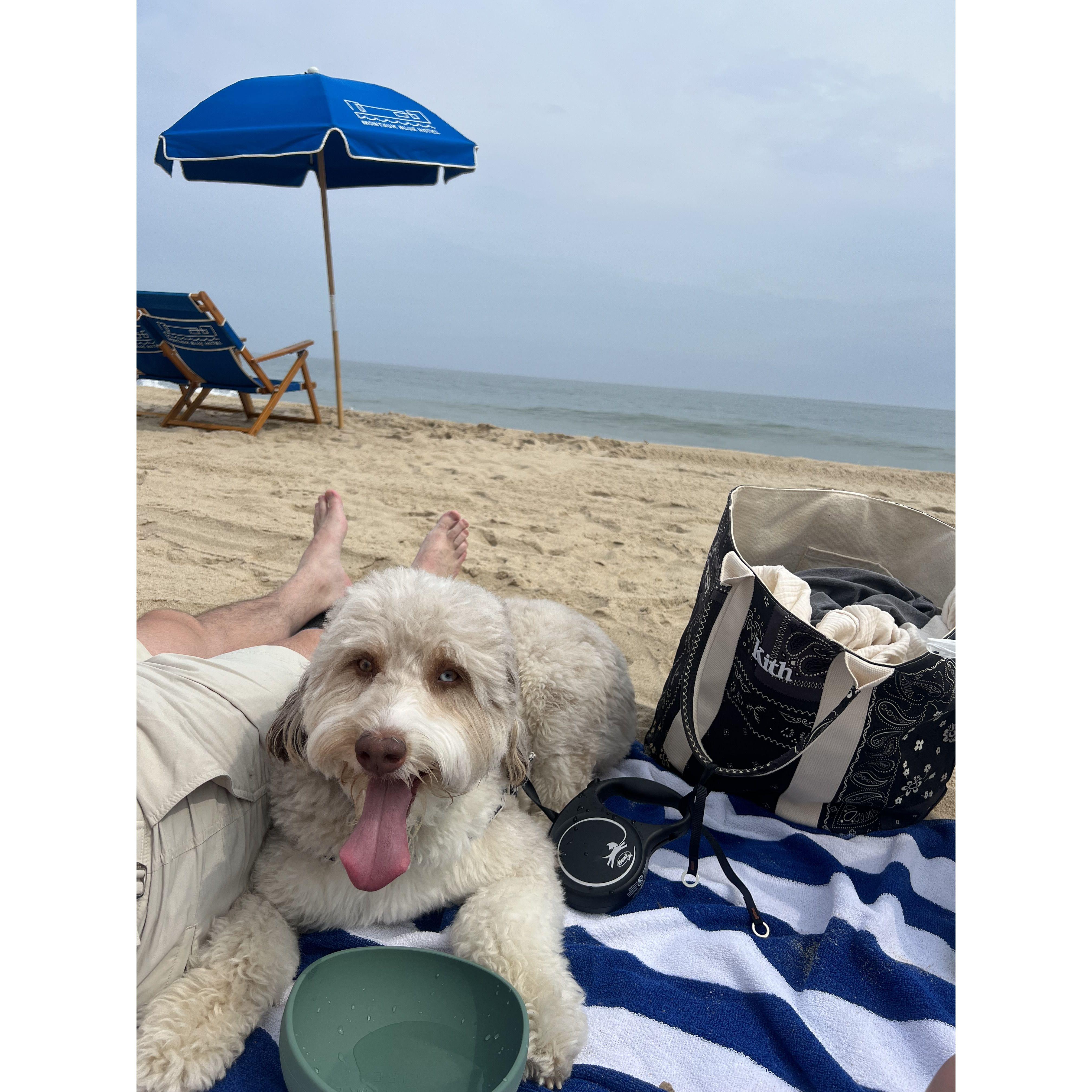 Eugene's first Montauk trip