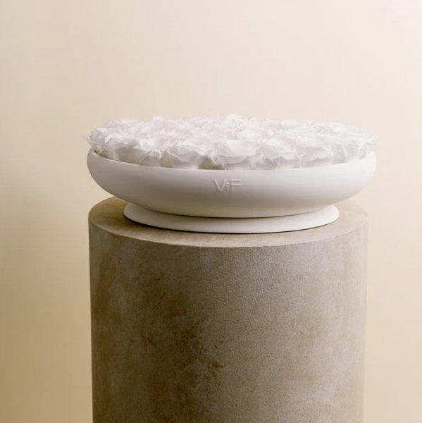 Tazza Vase in White Porcelain with 31 Roses | Venus et Fleur