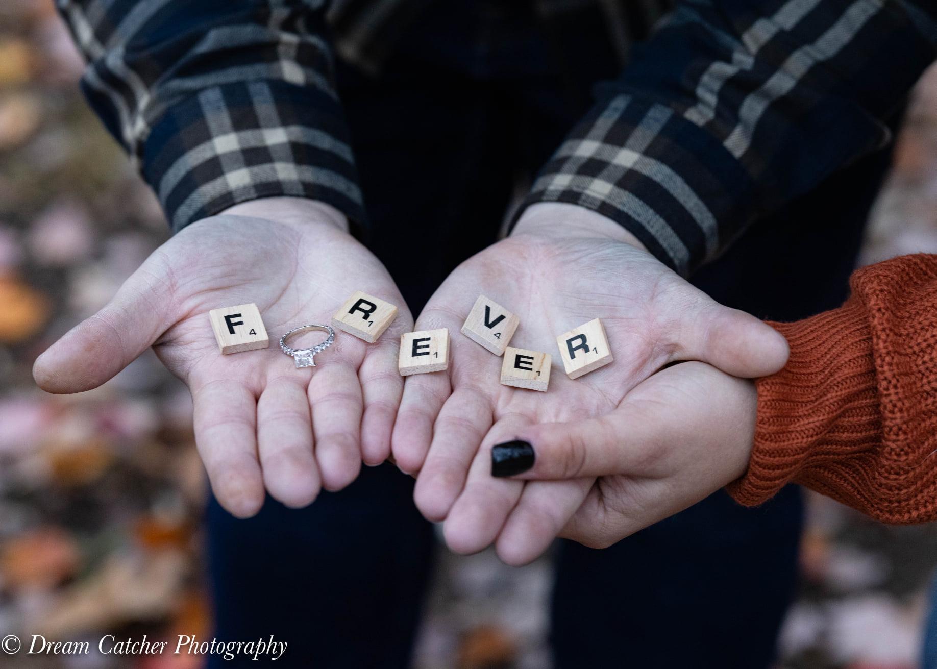 The Wedding Website of Brittany Fichter and Michael DiPillo