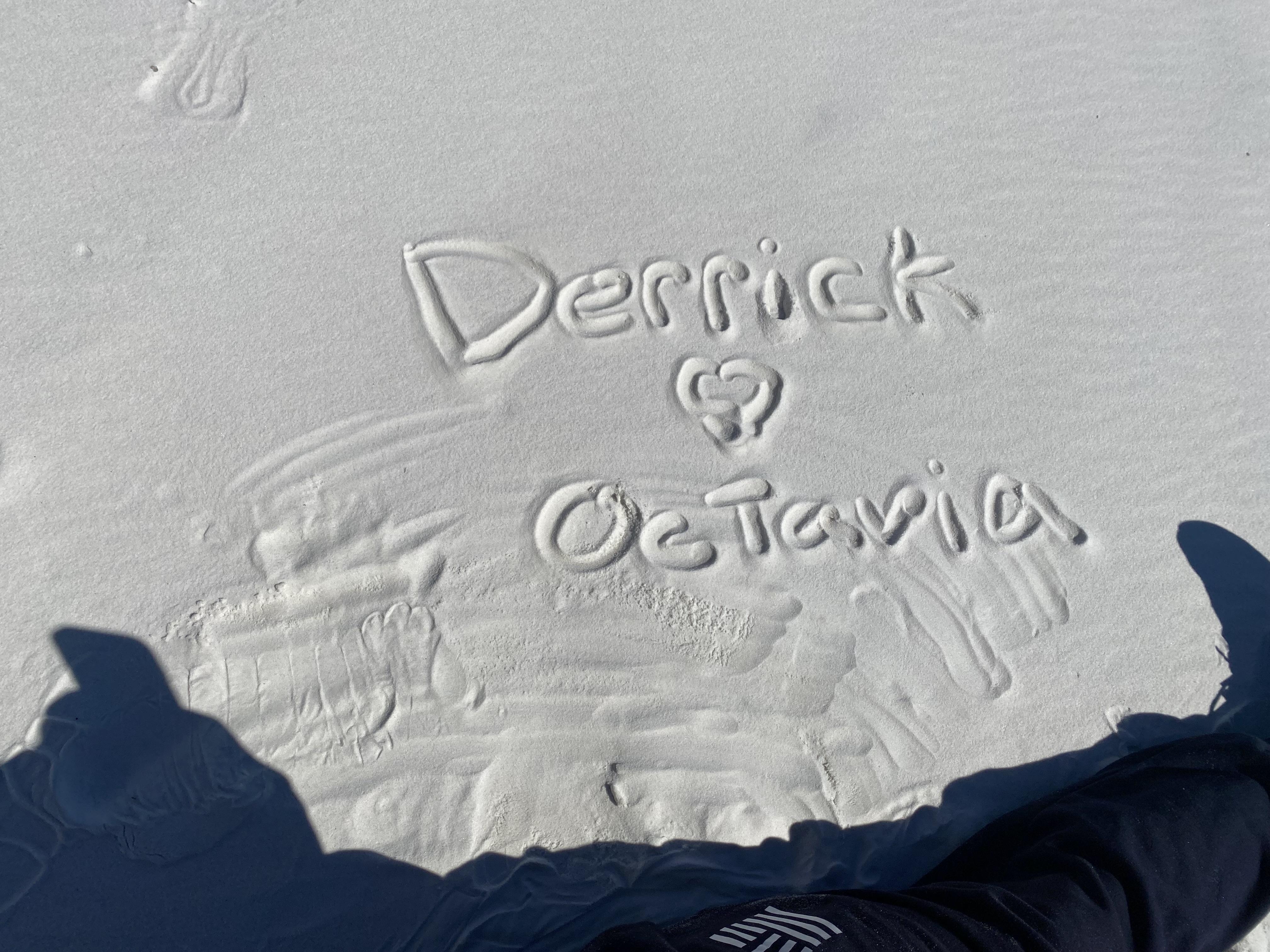 The Wedding Website of Derrick Lewis and Octavia Satchel