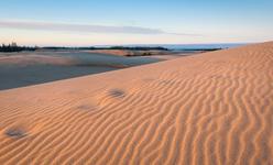 Oregon Dunes National Recreation Area