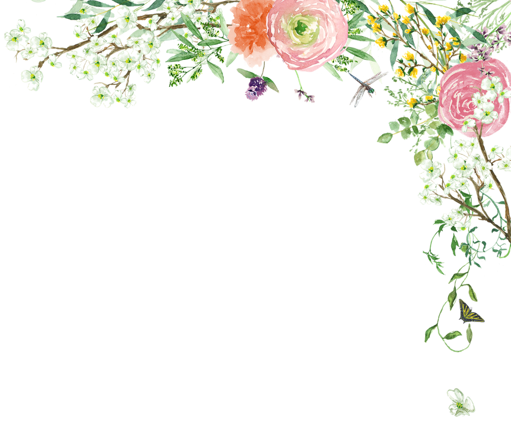 Sua Mendez and Adam Rein's Wedding Website