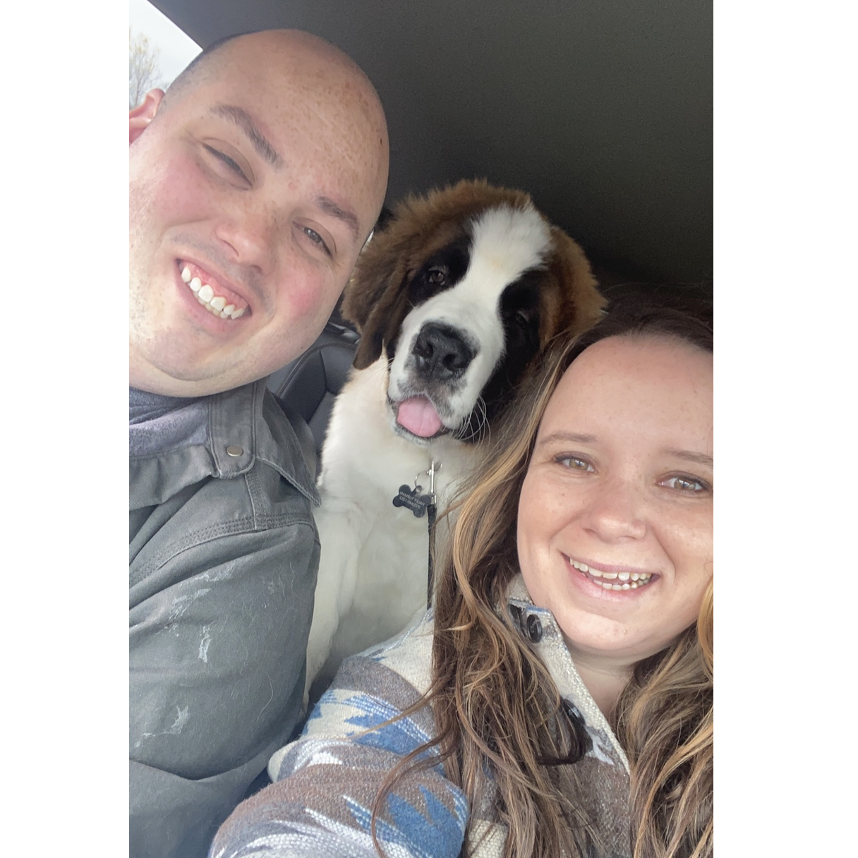 Drives with our dog, Teddy