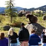 Montana Grizzly Encounter