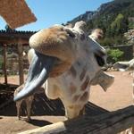 Cheyenne Mountain Zoo