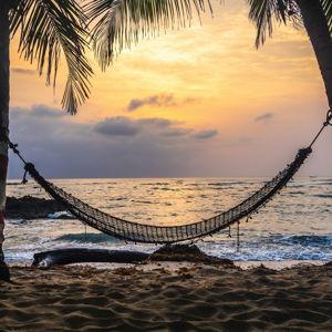 Our honeymoon fund- Credit Card option (with a CC fee)
