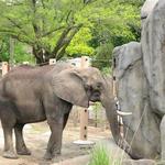 Cleveland Metroparks Zoo