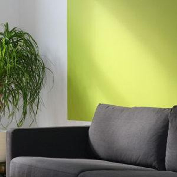 Couch Fund