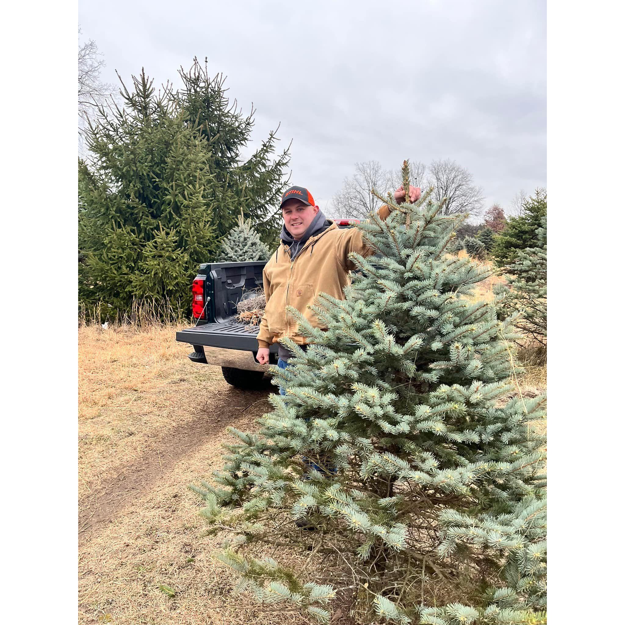 Our first Christmas Tree in our new home 2023.