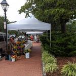 Fredericksburg, VA Farmers Market