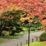 Arboretum