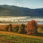 Cades Cove Loop Road