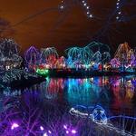 Wildlights at the Columbus Zoo and Aquarium