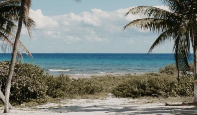 The Wedding Website of Tessa Grewer and Ryan Golembeck