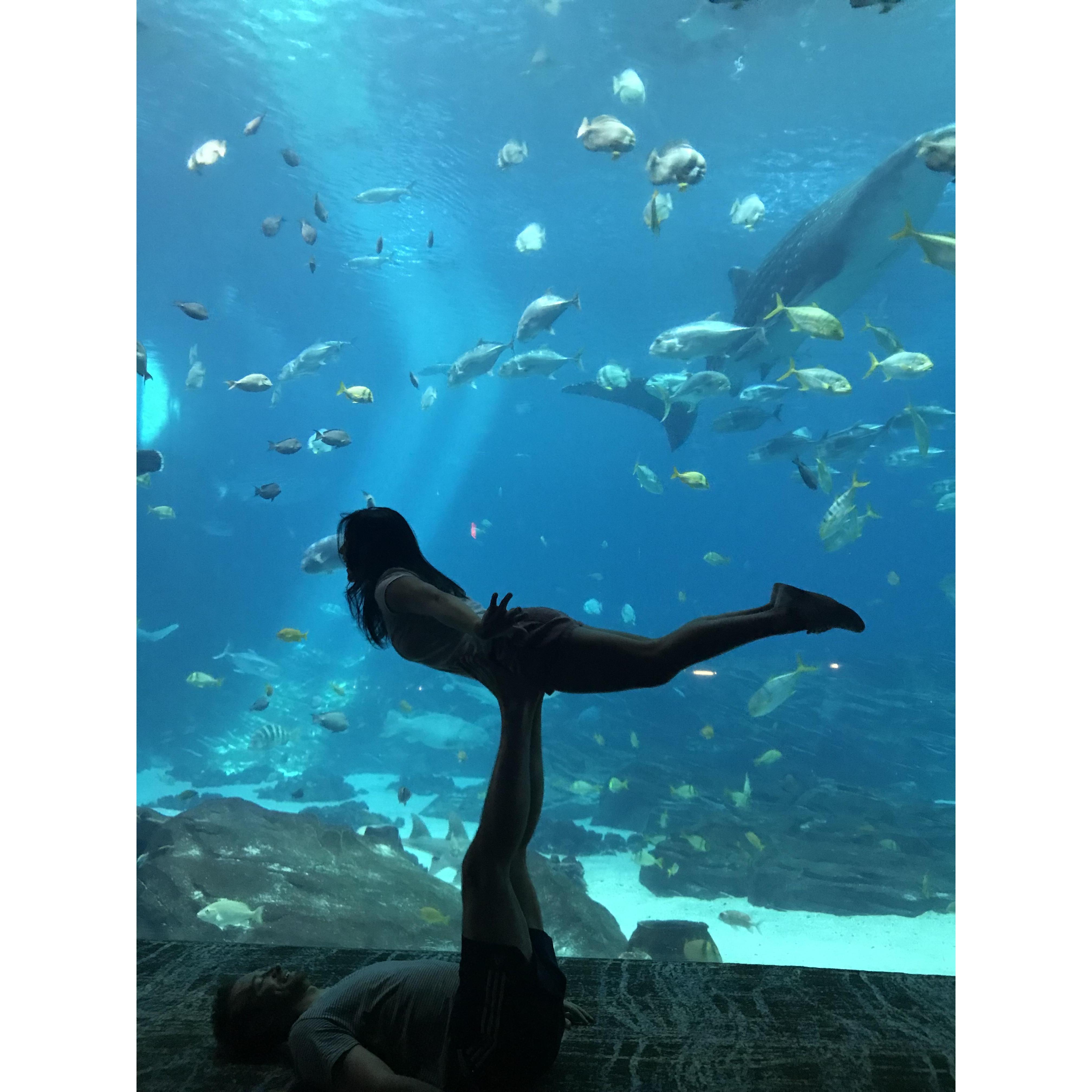 Atlanta- where we visited the stunning whale sharks at the Georgia Aquarium