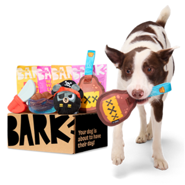 Super Chewer 6 Month Subscription - Double Deluxe First Box