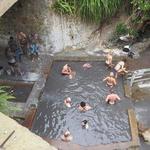 Volcanic Tour and Botanical Gardens