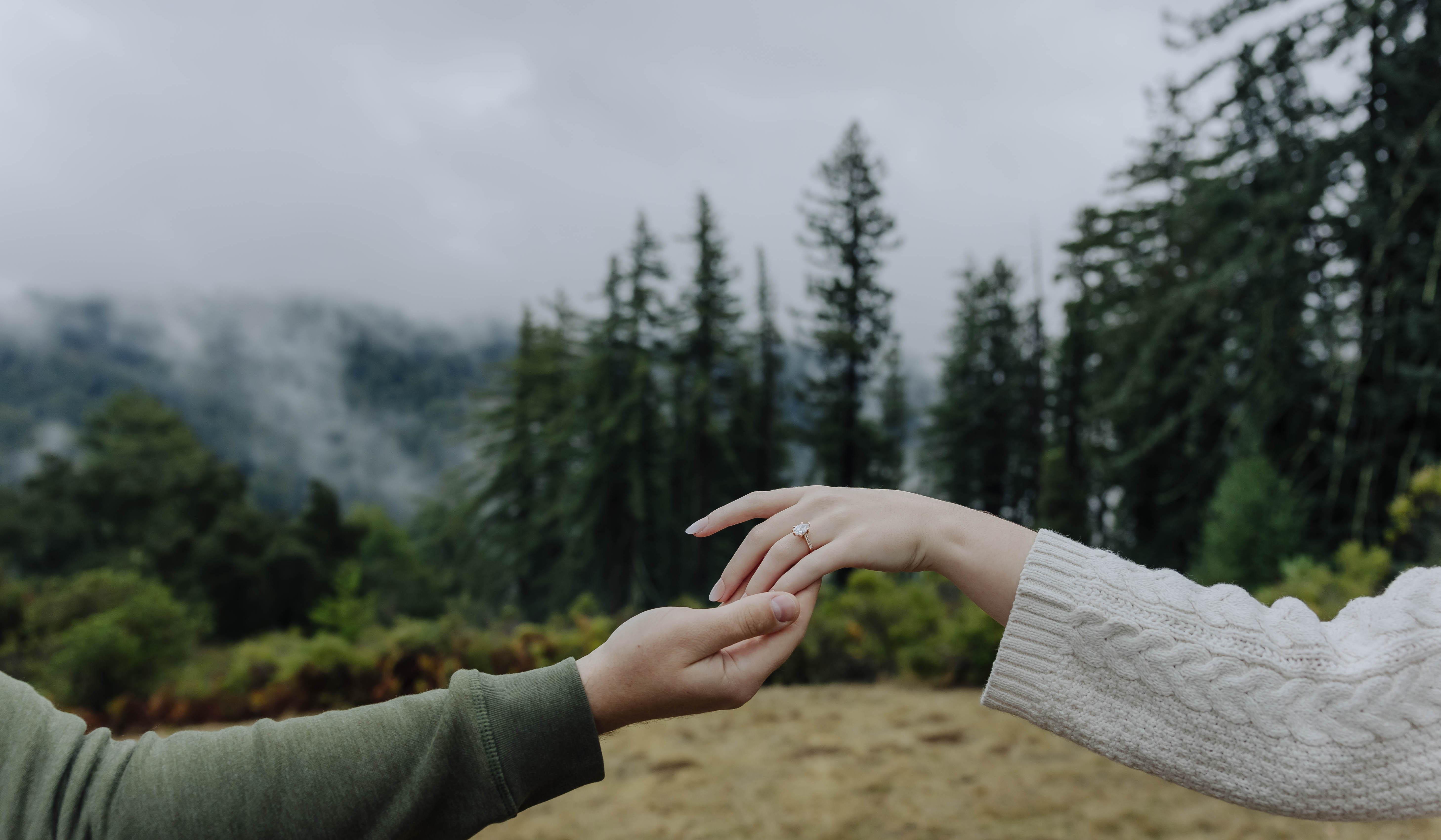 Hero Slideshow Image 2